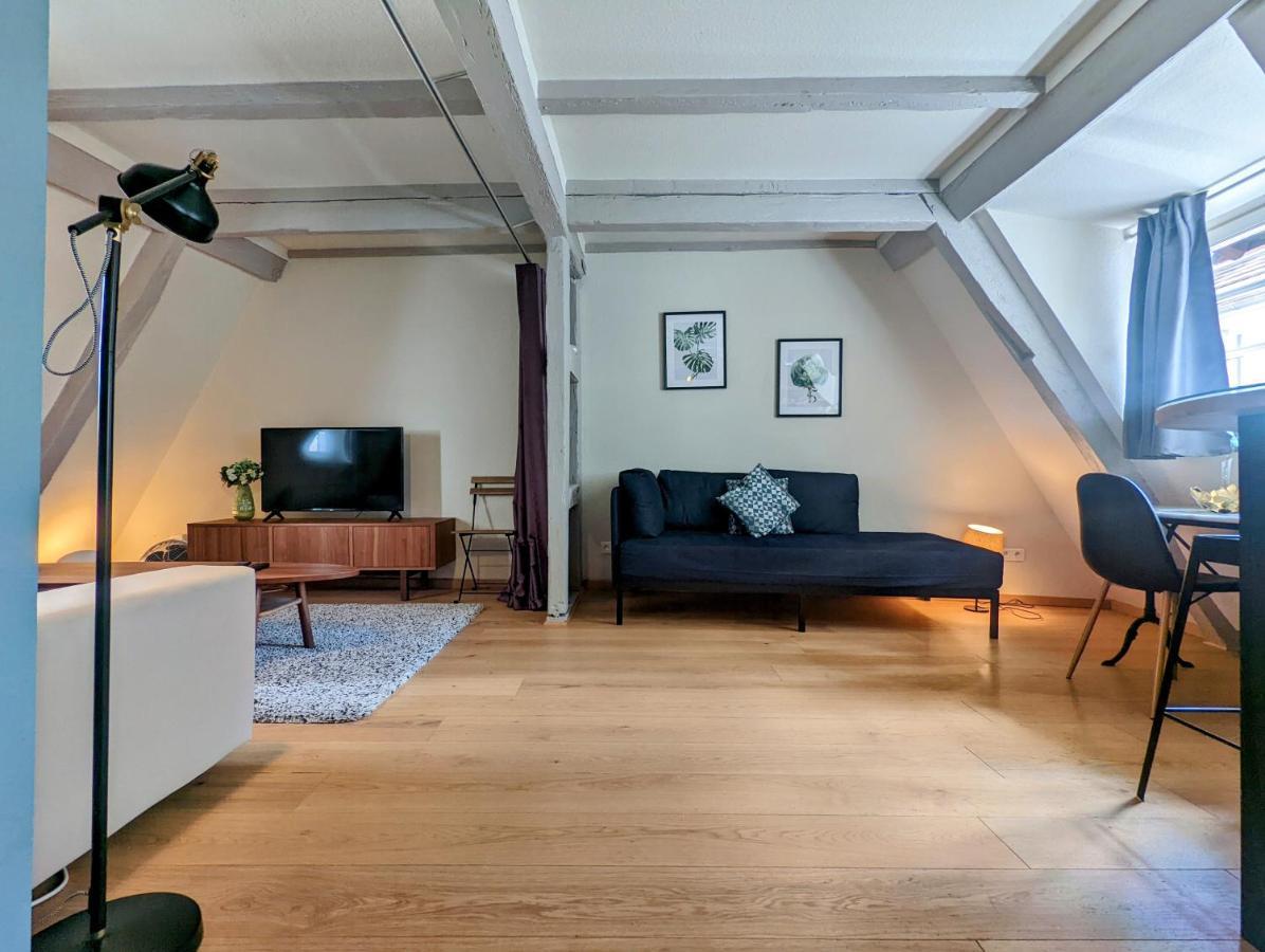 Citycosy Strasbourg - Authentique Batelier Buitenkant foto