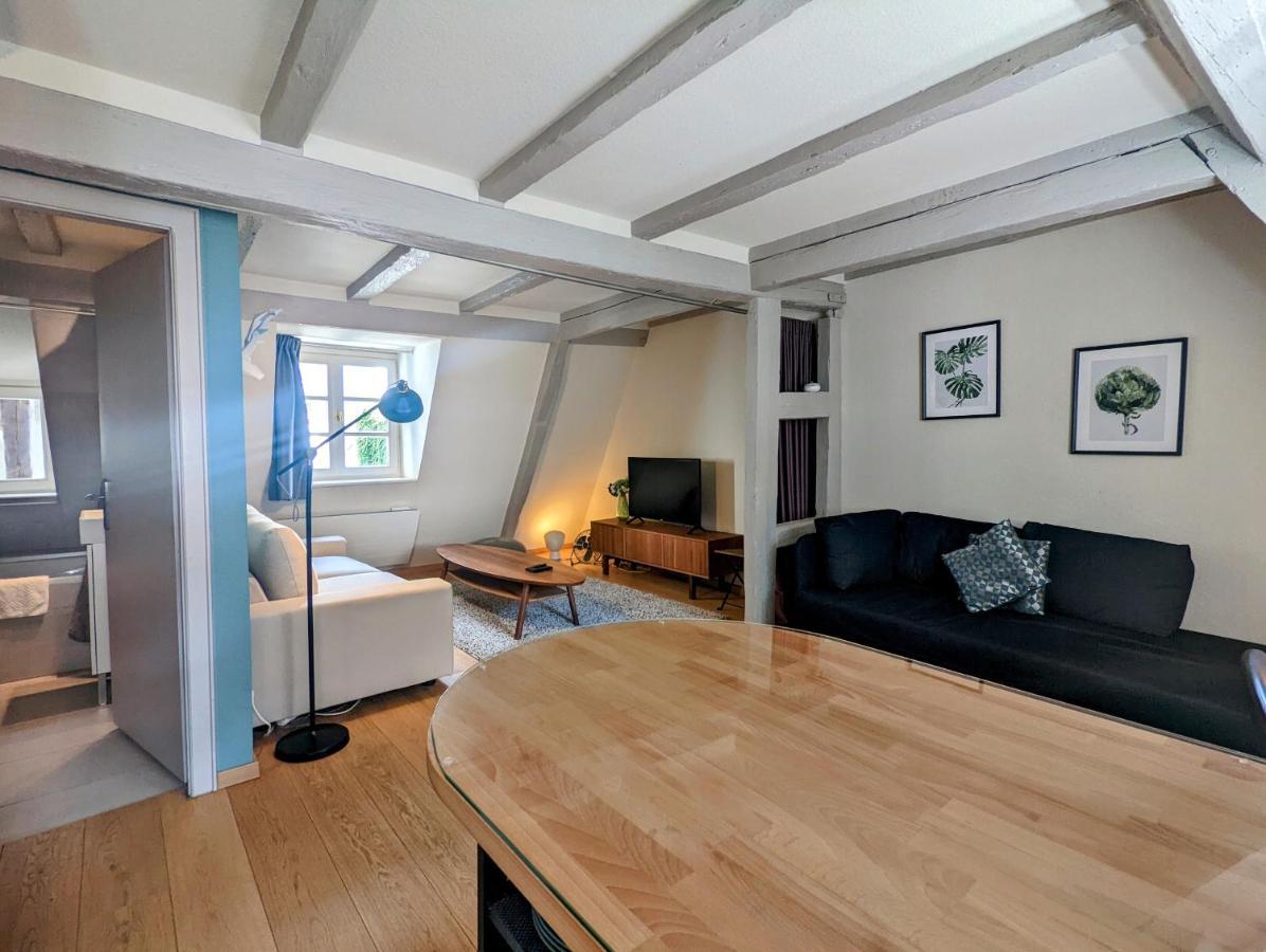 Citycosy Strasbourg - Authentique Batelier Buitenkant foto