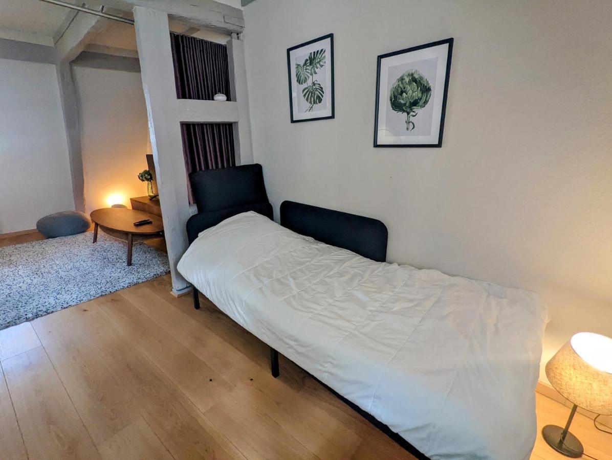 Citycosy Strasbourg - Authentique Batelier Buitenkant foto